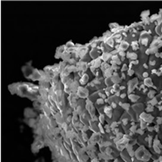 Обломок микросферической частицы магнетита из образца реголита «Чанъэ-5»