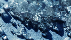 Сладкое недоверие