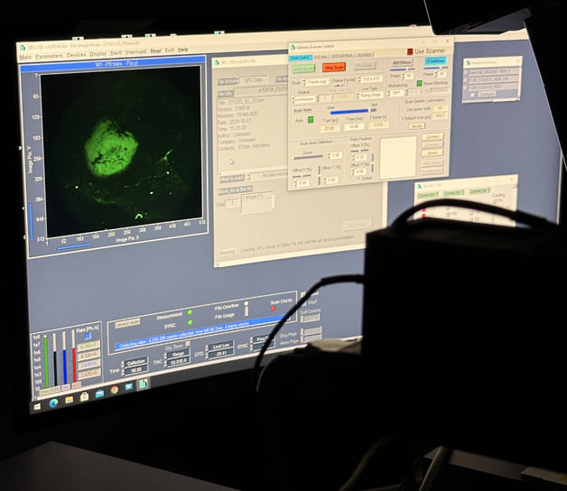 Результаты анализа образца головного мозга