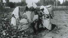 Институт по изучению национального вопроса