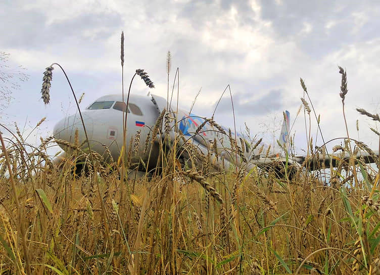 Самолет Airbus-A320, совершивший аварийную посадку в поле в Новосибирской области