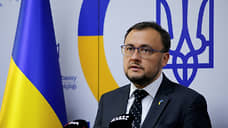 Украинский посол в Турции: сейчас Украина не хочет вступать в НАТО