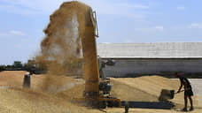 ИКАР снизил прогноз по урожаю пшеницы в России из-за заморозков