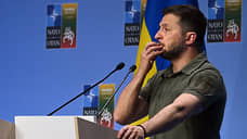 Telegraph: НАТО просит Зеленского не требовать членства Украины в альянсе