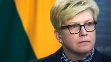 Премьер Литвы заявила о возможной отправке на Украину военных инструкторов