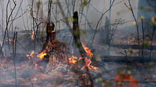 В Бурятии и Забайкалье из-за лесных пожаров введен режим ЧС федерального уровня