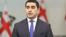Парламент Грузии может принять сразу 19 законов против нетрадиционных отношений