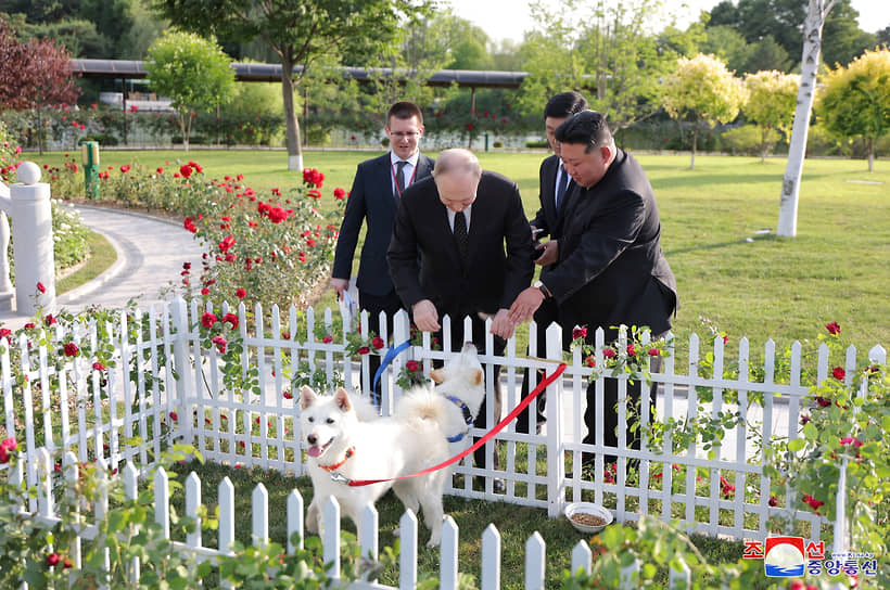 Владимир Путин (слева) и Ким Чен Ын гладят собак