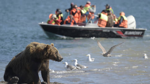 В Забайкалье намерены отстреливать медведей, выходящих к людям из-за пожаров