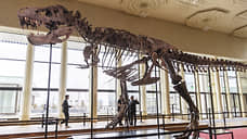 Ученые выяснили, что тираннозавры могли быть на 70% больше, чем предполагалось