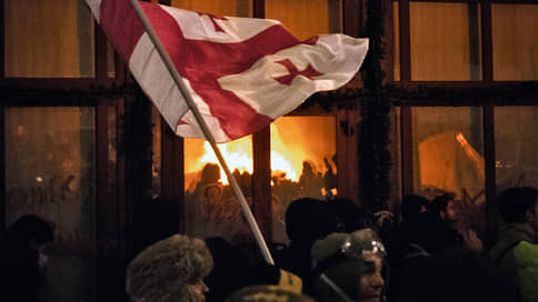 На митингах в Грузии задержали восемь россиян