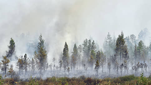 В Забайкалье увеличили вознаграждение за борьбу с поджигателями леса
