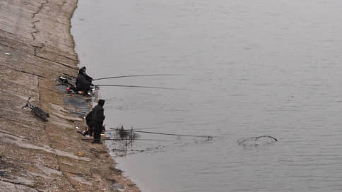 Кабмин РФ направит более 400 млн руб. на рыбохозяйственную мелиорацию