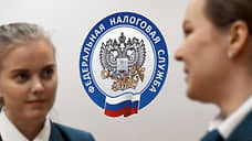 ФНС взыскала рекордные 252 млрд руб. с компаний-банкротов в 2024 году