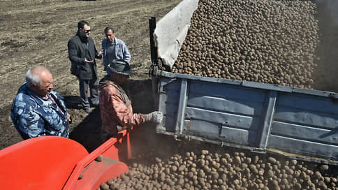 В Картофельном союзе назвали справедливую цену на картофель в торговых сетях