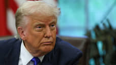 Трамп: Украина должна немедленно согласиться на предложение Путина