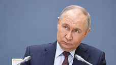 Путин обсудил с главой Амурской области ситуацию с природными пожарами