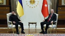 Эрдоган обсудил с Зеленским завершение конфликта на Украине