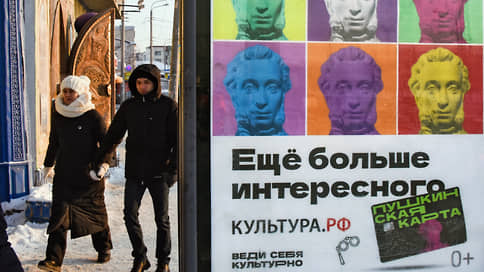 Задержаны подозреваемые в аферах с Пушкинскими картами на сумму более 30 млн руб.