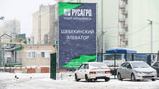Чистая прибыль «Русагро» за первый квартал достигла 119,6 млн рублей