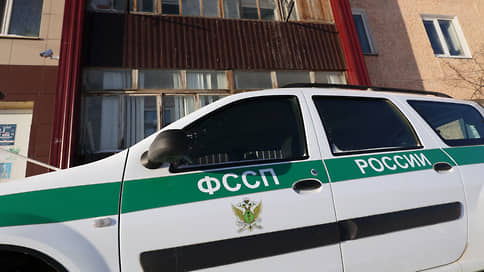 ФССП: государству переданы акции предприятий Дальполиметалл и Вектор Рейл