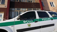 ФССП: государству переданы акции предприятий «Дальполиметалл» и «Вектор Рейл»