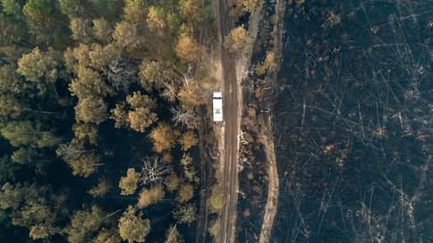 Рослесхоз: 55 населенных пунктов защитили от огня в Забайкалье с начала сезона