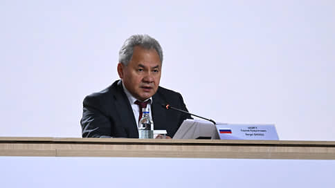 Шойгу: мир увидел демократию Запада на примере выборов в Румынии