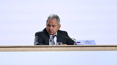 Шойгу: странам СНГ надо развиваться независимо от Запада