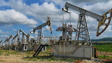 Страны ОПЕК+ договорились увеличить добычу нефти в июле на 411 тыс. б/с