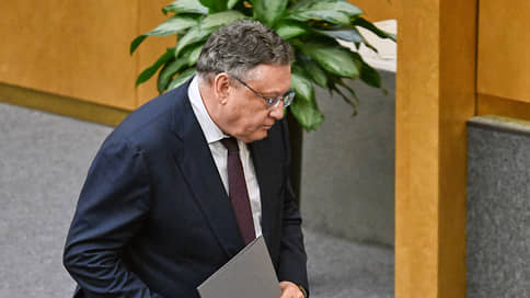 В МВД раскрыли число находящихся в России детей мигрантов