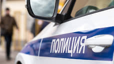 После драки в Подмосковье задержаны 32 человека