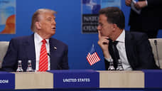 Politico: чиновники в Европе раздражены подхалимством Рютте к Трампу на саммите