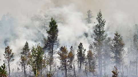 Ущерб от лесных пожаров в Забайкалье составил 2,8 млрд рублей