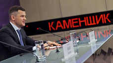Дмитрий Каменщик попросил приостановить передачу «Домодедово» государству