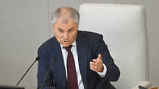 Володин призвал бизнес «не дожидаясь закона» менять вывески на английском языке