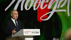 Путин: российские беспилотники сожгли вражеской техники более чем на $2 млрд