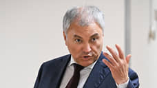 Володин предложил расширить основания для лишения гражданства еще на 9 статей УК