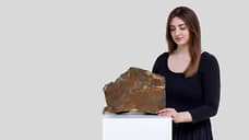 Крупнейший осколок Марса на Земле продан на аукционе за $5,3 млн