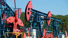 Индия ответила на нападки США и ЕС из-за импорта российской нефти