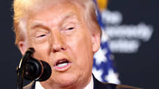 Telegraph: Трамп хочет предложить России добычу редкоземов на Аляске