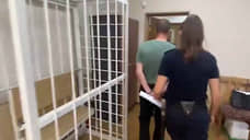 Экс-министр лесного хозяйства Приморья арестован по обвинению в коррупции