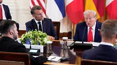 Politico: страны ЕС не верят в успех плана Трампа по Украине