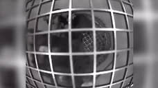 «Роскосмос» показал видео с мышами в невесомости
