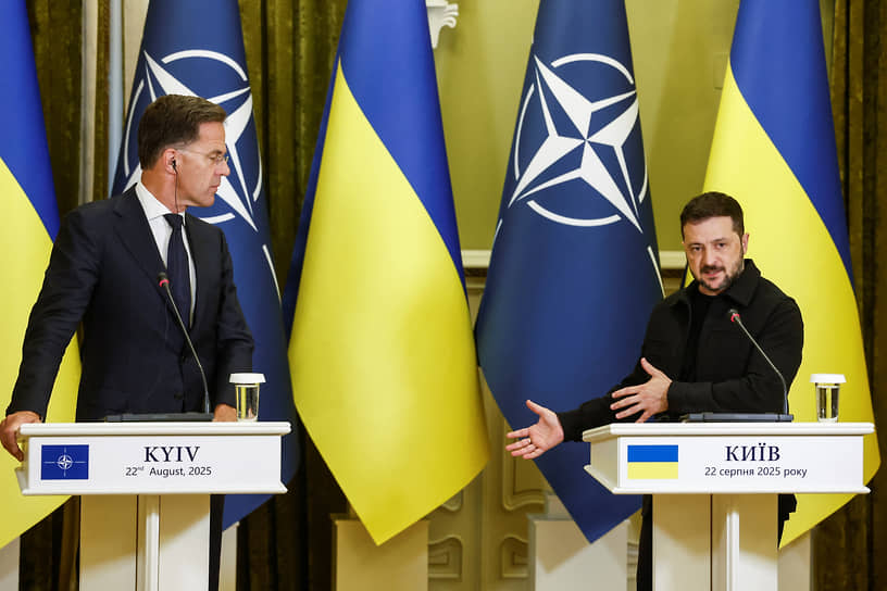 Марк Рютте и Владимир Зеленский