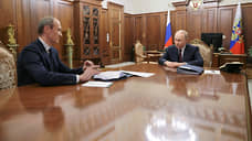 Путин обсудил с Григоренко работу портала госуслуг и борьбу с мошенниками