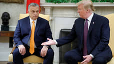 Politico: Трамп убеждал Орбана не препятствовать вступлению Украины в ЕС