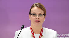 Инициатива о статусе ветеранов для «Шторм Z» на полгода застряла в правительстве