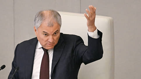 Володин считает, что мигранты не должны привозить семьи в Россию