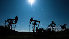 Семь стран ОПЕК+ согласились с предложением России увеличить добычу нефти